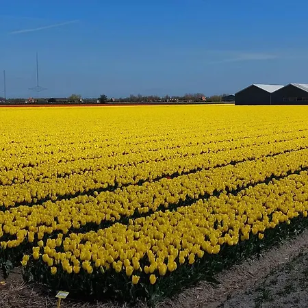 Bij van der Veer-3