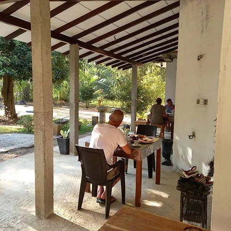 Silent Peacock Villa And Restaurant-3