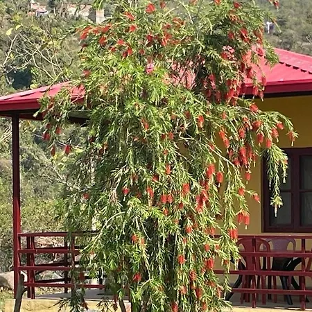 Nayar Valley Retreat-2