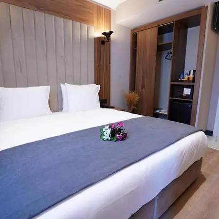 Mineo Hotel Taksim-3