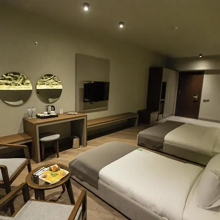 The Erzurum Hotel-3