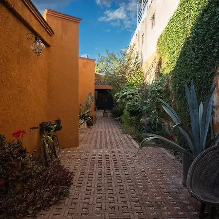 Niyana Oaxaca-3