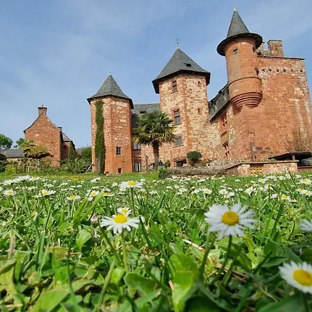 Chateau De Vassinhac Chambres D'Hotes Collonges La Rouge-2