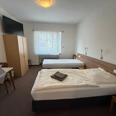Hotel Restaurant Zum Schwan-2