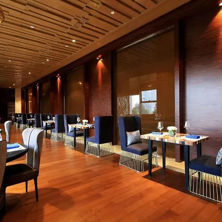 Wyndham Grand Plaza Royale Huayu Chongqing-2