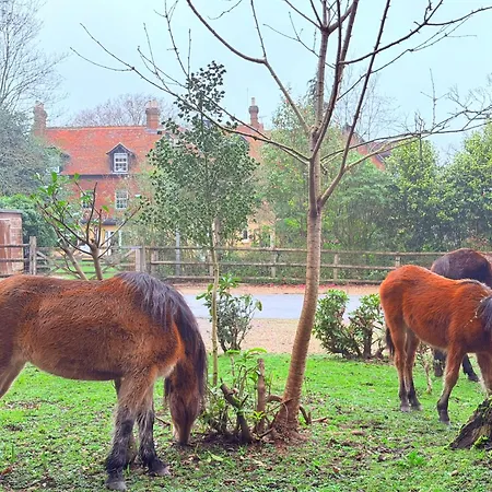 Moorhill House Hotel-2