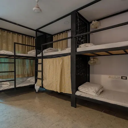Whiite Panda - Backpacker Hostel In Delhi Greater Kailash-3