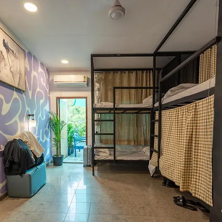 Whiite Panda - Backpacker Hostel In Delhi Greater Kailash-2