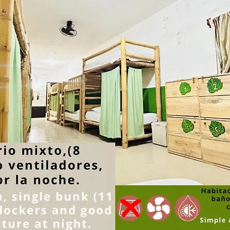 Hostal Pakal King-2