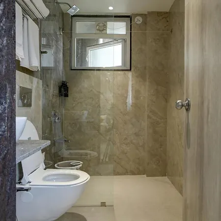 Staybird Capital- Business Hotel, Magarpatta City-3