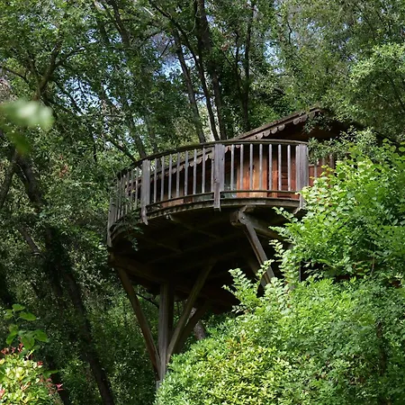 Orion Treehouses-2