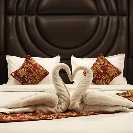 Hotel Park Plaza Srinagar-3