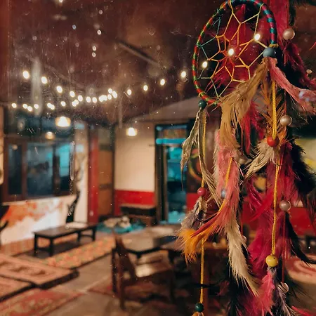 Art Cafe Kasol-2