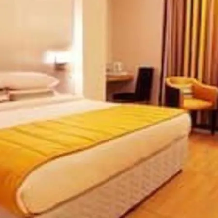 Mumbai Metro - The Executive Hotel-3