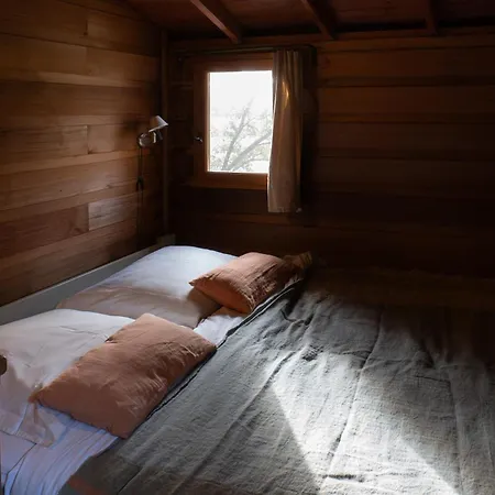 Orion Treehouses-3