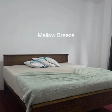 Mellow Breeze - Nuwara Eliya-2