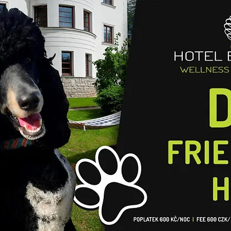 Hotel Bedriska Wellness Resort&Spa-2
