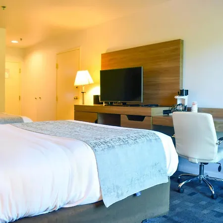 Comfort Inn Bellingham-2