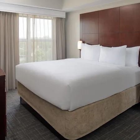 Residence Inn By Marriot Clearwater Downtown-3