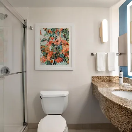 Hilton Garden Inn Fort Myers Airport/Fgcu-3