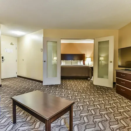 Comfort Inn & Suites Ambassador Bridge-3