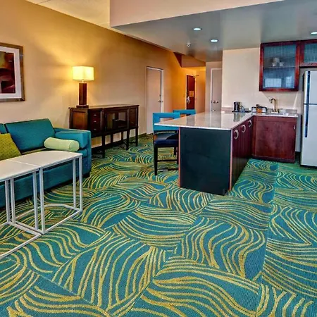 Springhill Suites Norfolk Old Dominion University-2