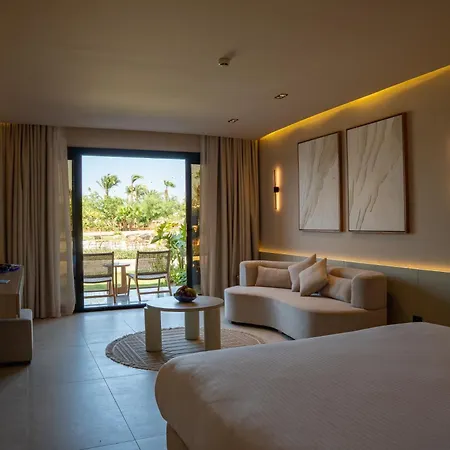 Calimera Blend Paradise-3