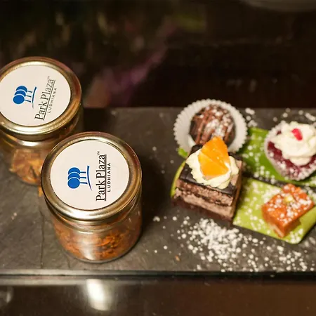 Park Plaza, Ludhiana-3