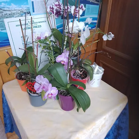Hotel Del Fiume-3