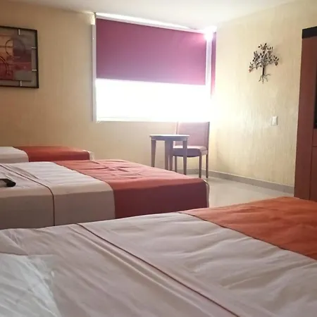 Hostalia Hotel Expo & Business Class-2