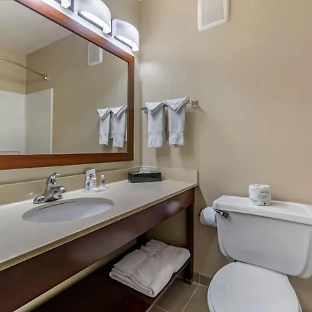 Comfort Inn Kennewick Richland-3