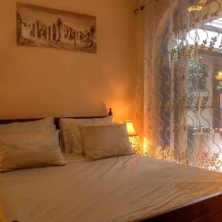 Riad Elizzi-3