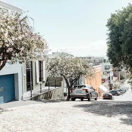 Cape Finest Guest House Located In De Waterkant-2