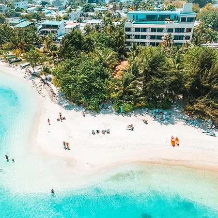 Season Paradise-3