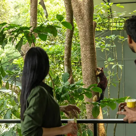 Wayanad Wild - A Cgh Earth Experience-2