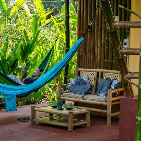 Water To Forest Ecolodge-2