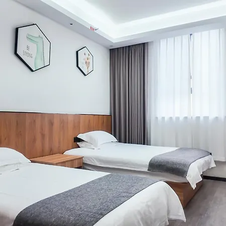 Lin XI Hotel Pudong Pvg Airport Disneyland Free Shuttle-3