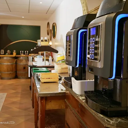 Appart'Hotel-Restaurant Castel Emeraude-3
