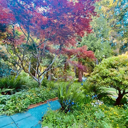 Ocean Wilderness Inn-2