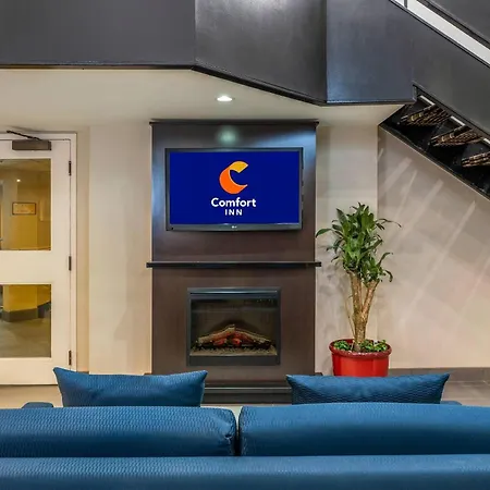 Comfort Inn Airport-3