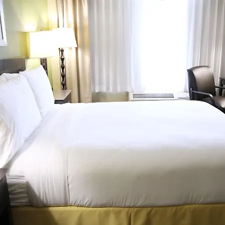 Holiday Inn Chicago Oakbrook By Ihg-2