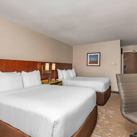 Comfort Inn Kenora-3