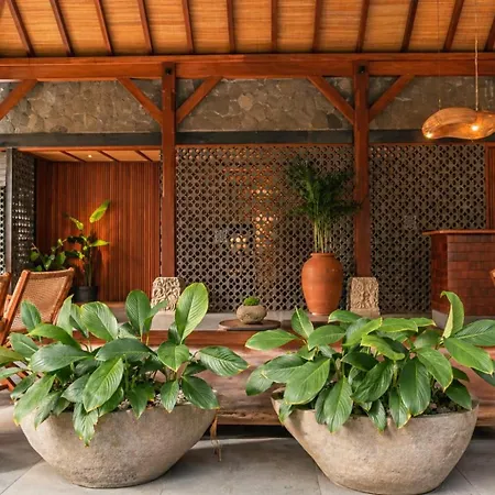 Yulia Village Inn Ubud-2