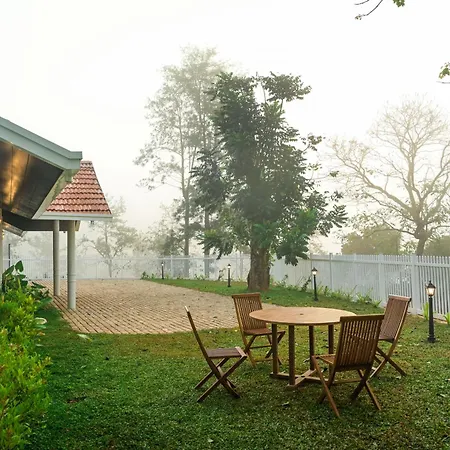 Parisons Plantation Experiences By Abad-3