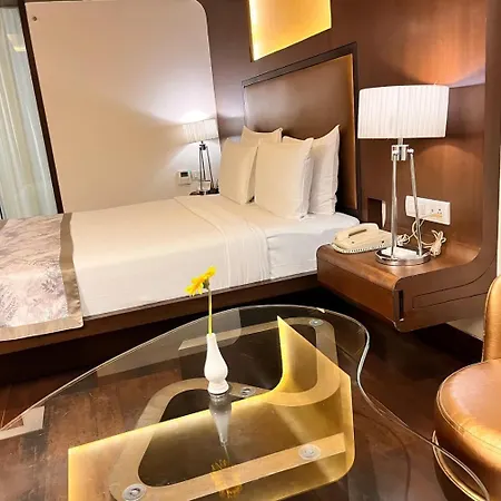 Cocoon Luxury Business Hotel-3