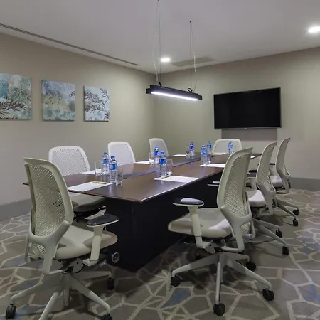 Hilton Garden Inn Istanbul Atatuerk Airport-2