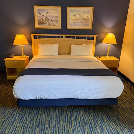 Ameristay Inn & Suites-2