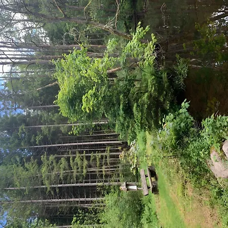 Pension Linde-2
