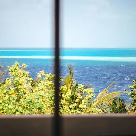 Season Paradise-3