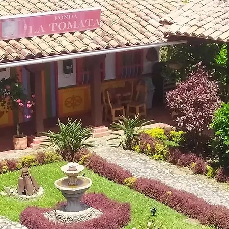 Hotel Zocalo Campestre-3